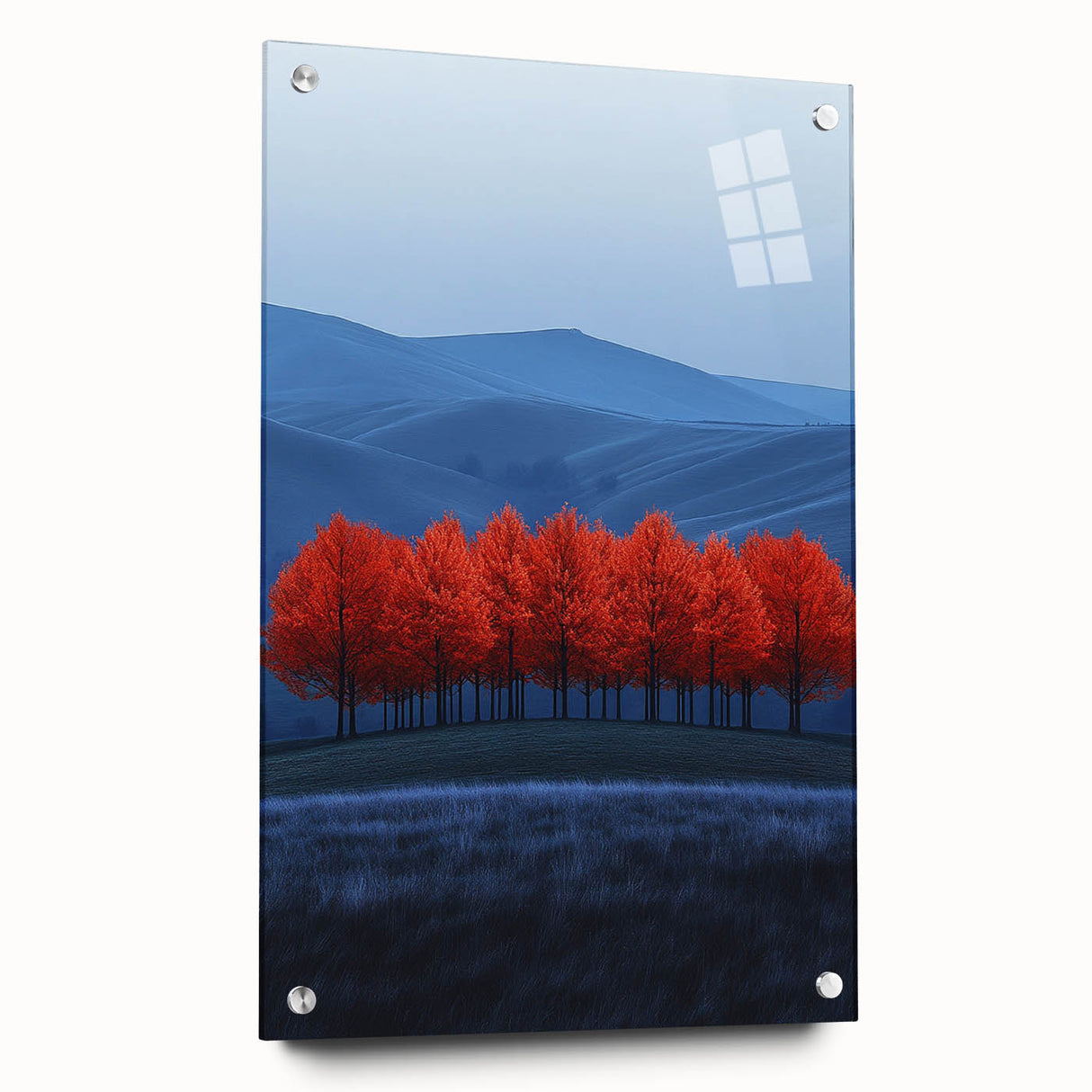 Vibrant Red Trees - Fine Art Photography Canvas Prints
