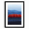 Vibrant Red Trees - Fine Art Photography Canvas Prints