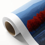 Vibrant Red Trees - Fine Art Photography Canvas Prints