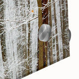 Serene Landscape Photography Prints – Winter Wonderland Wall Art