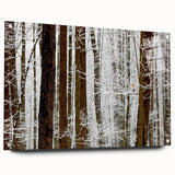 Serene Landscape Photography Prints – Winter Wonderland Wall Art