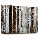 Serene Landscape Photography Prints – Winter Wonderland Wall Art
