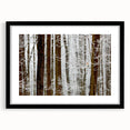 Serene Landscape Photography Prints – Winter Wonderland Wall Art