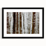 Serene Landscape Photography Prints – Winter Wonderland Wall Art