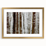 Serene Landscape Photography Prints – Winter Wonderland Wall Art