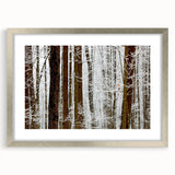 Serene Landscape Photography Prints – Winter Wonderland Wall Art