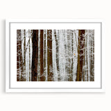 Serene Landscape Photography Prints – Winter Wonderland Wall Art