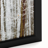 Serene Landscape Photography Prints – Winter Wonderland Wall Art