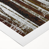 Serene Landscape Photography Prints – Winter Wonderland Wall Art