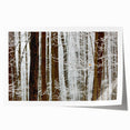 Serene Landscape Photography Prints – Winter Wonderland Wall Art
