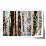 Serene Landscape Photography Prints – Winter Wonderland Wall Art