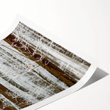 Serene Landscape Photography Prints – Winter Wonderland Wall Art