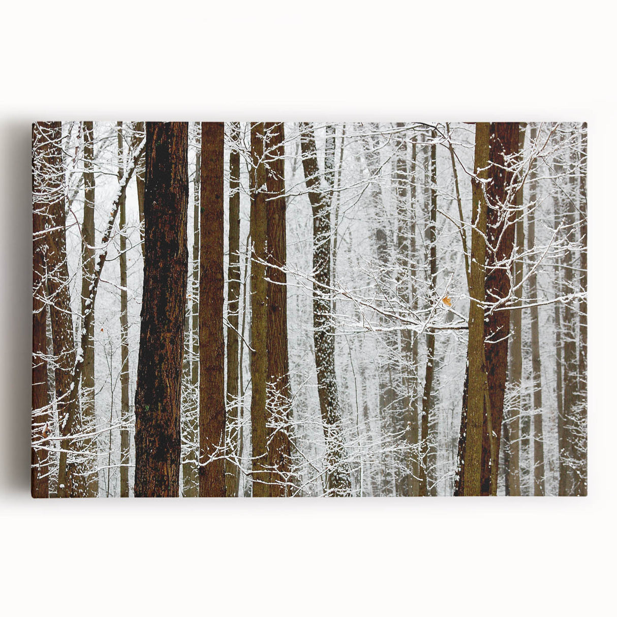 Serene Landscape Photography Prints – Winter Wonderland Wall Art