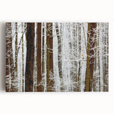 Serene Landscape Photography Prints – Winter Wonderland Wall Art