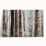 Serene Landscape Photography Prints – Winter Wonderland Wall Art