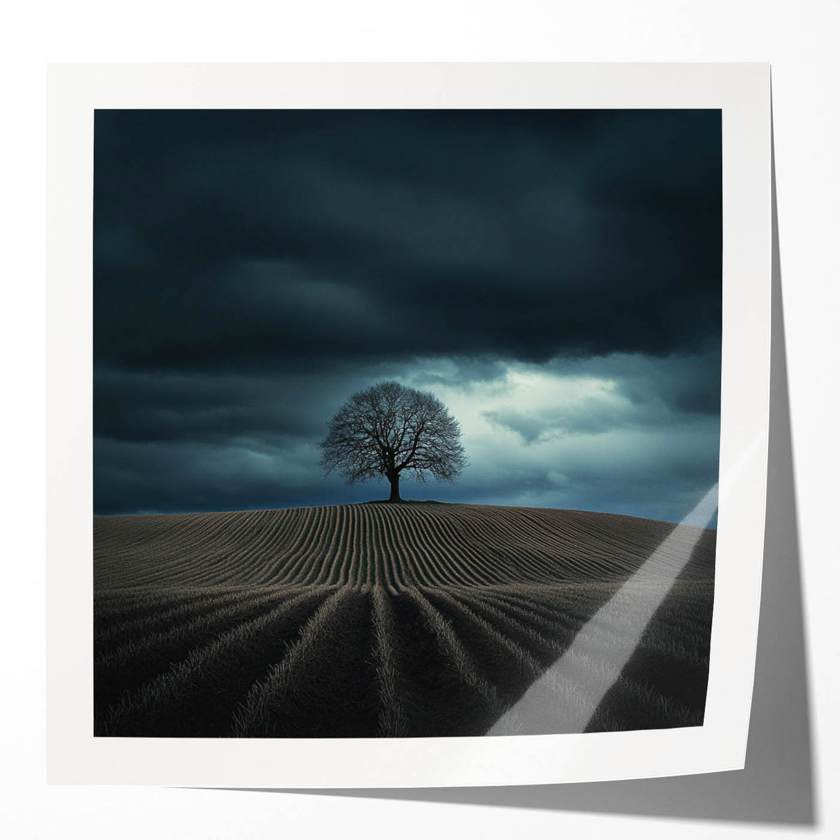 Dramatic Storm Tree – Moody Landscape & Nature Art Prints