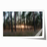 Abstract Minimalist Landscape Paintings – Motion Blur Pine Forest