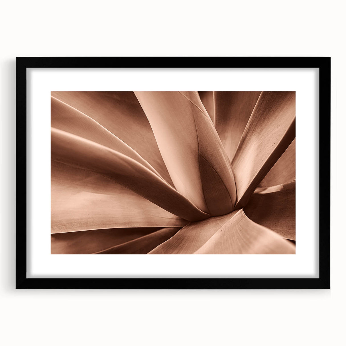 Tranquil Nature Canvas Prints – Elegant Botanical Wall Art