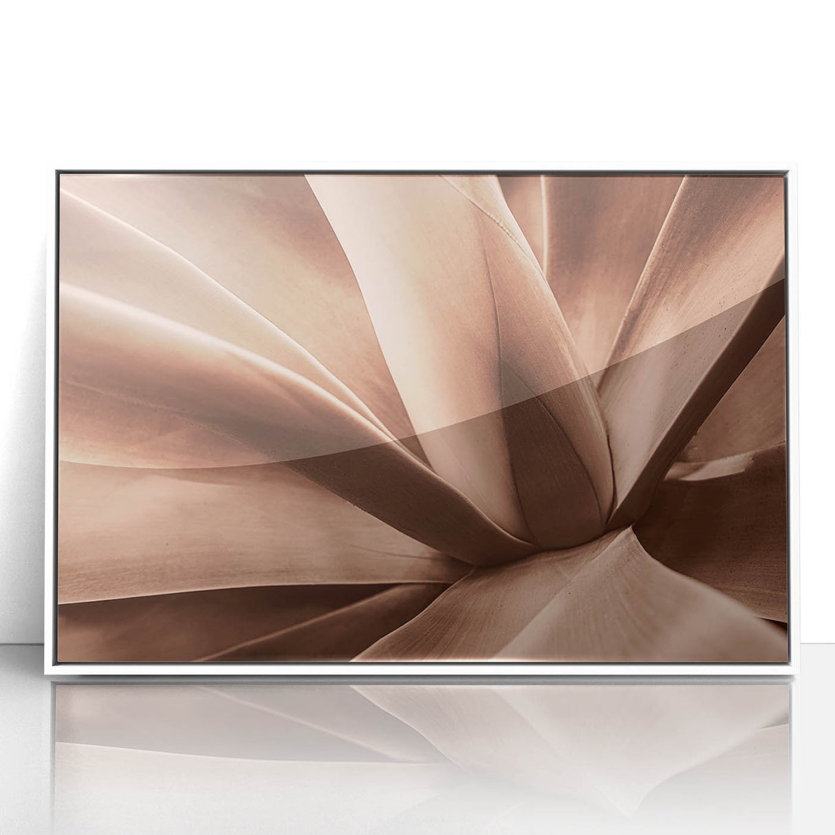 Tranquil Nature Canvas Prints – Elegant Botanical Wall Art