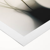 Dreamy Floral Silhouette - Fine Art Photography Wall Decor