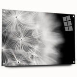 Dandelion Macro Art - Fine Art Photography Framed Prints