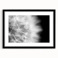 Dandelion Macro Art - Fine Art Photography Framed Prints