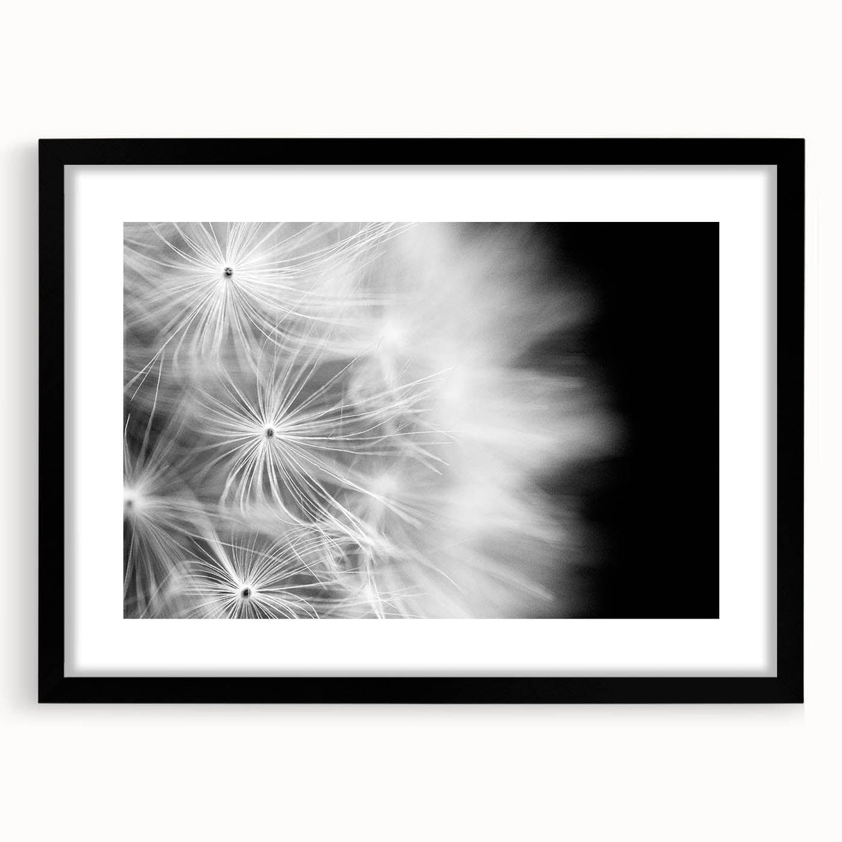 Dandelion Macro Art - Fine Art Photography Framed Prints