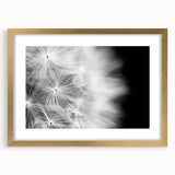 Dandelion Macro Art - Fine Art Photography Framed Prints