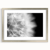 Dandelion Macro Art - Fine Art Photography Framed Prints