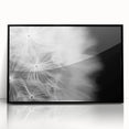 Dandelion Macro Art - Fine Art Photography Framed Prints