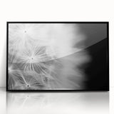 Dandelion Macro Art - Fine Art Photography Framed Prints