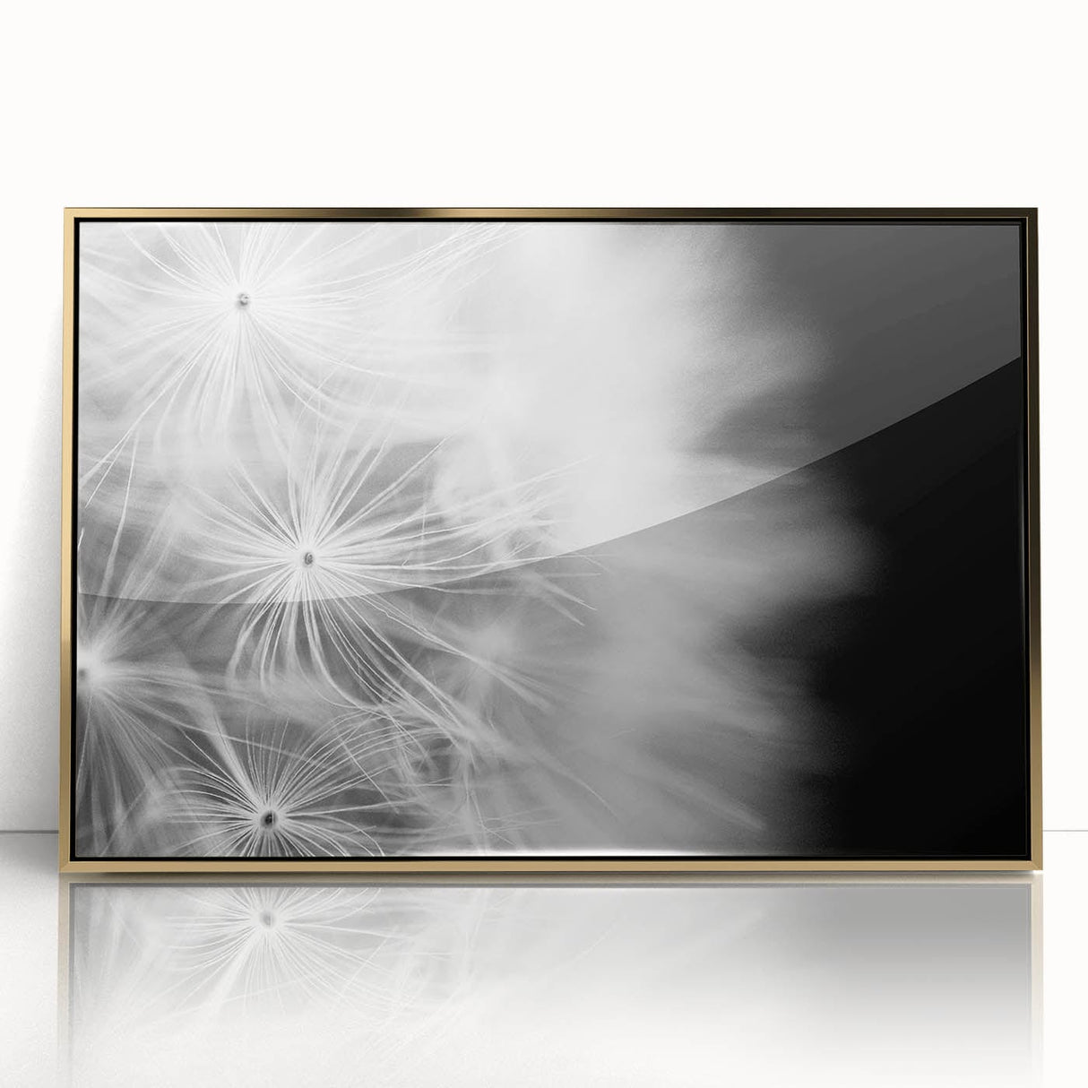 Dandelion Macro Art - Fine Art Photography Framed Prints