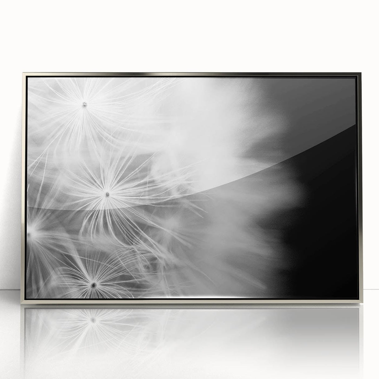 Dandelion Macro Art - Fine Art Photography Framed Prints