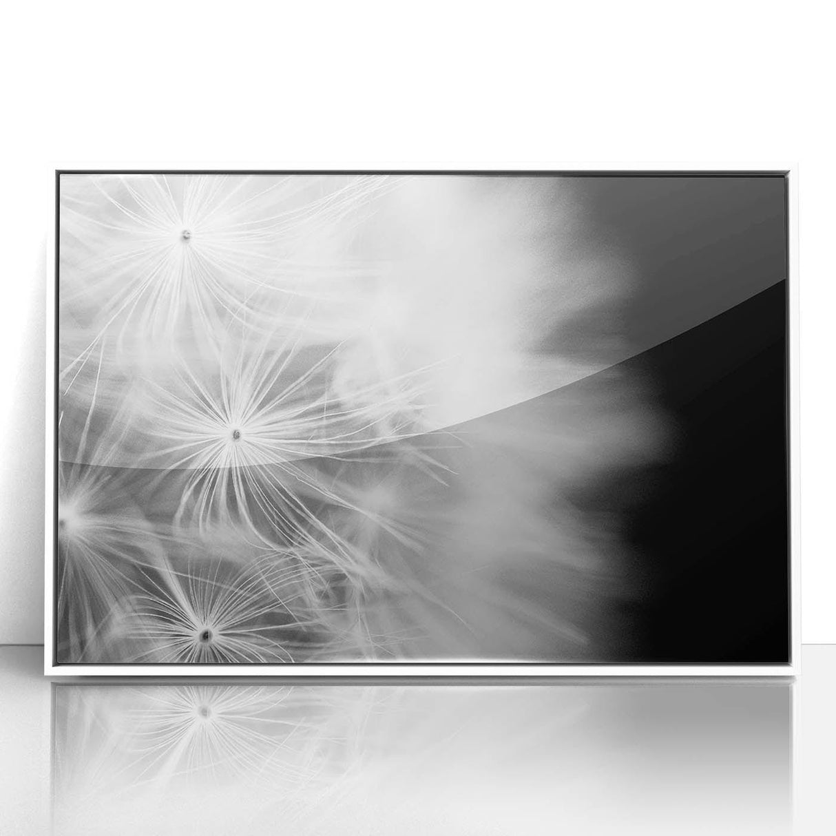 Dandelion Macro Art - Fine Art Photography Framed Prints