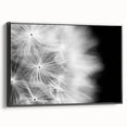Dandelion Macro Art - Fine Art Photography Framed Prints
