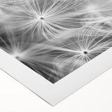 Dandelion Macro Art - Fine Art Photography Framed Prints