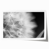 Dandelion Macro Art - Fine Art Photography Framed Prints