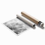 Dandelion Macro Art - Fine Art Photography Framed Prints