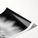 Dandelion Macro Art - Fine Art Photography Framed Prints