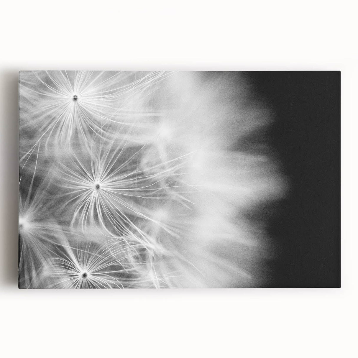 Dandelion Macro Art - Fine Art Photography Framed Prints
