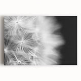 Dandelion Macro Art - Fine Art Photography Framed Prints