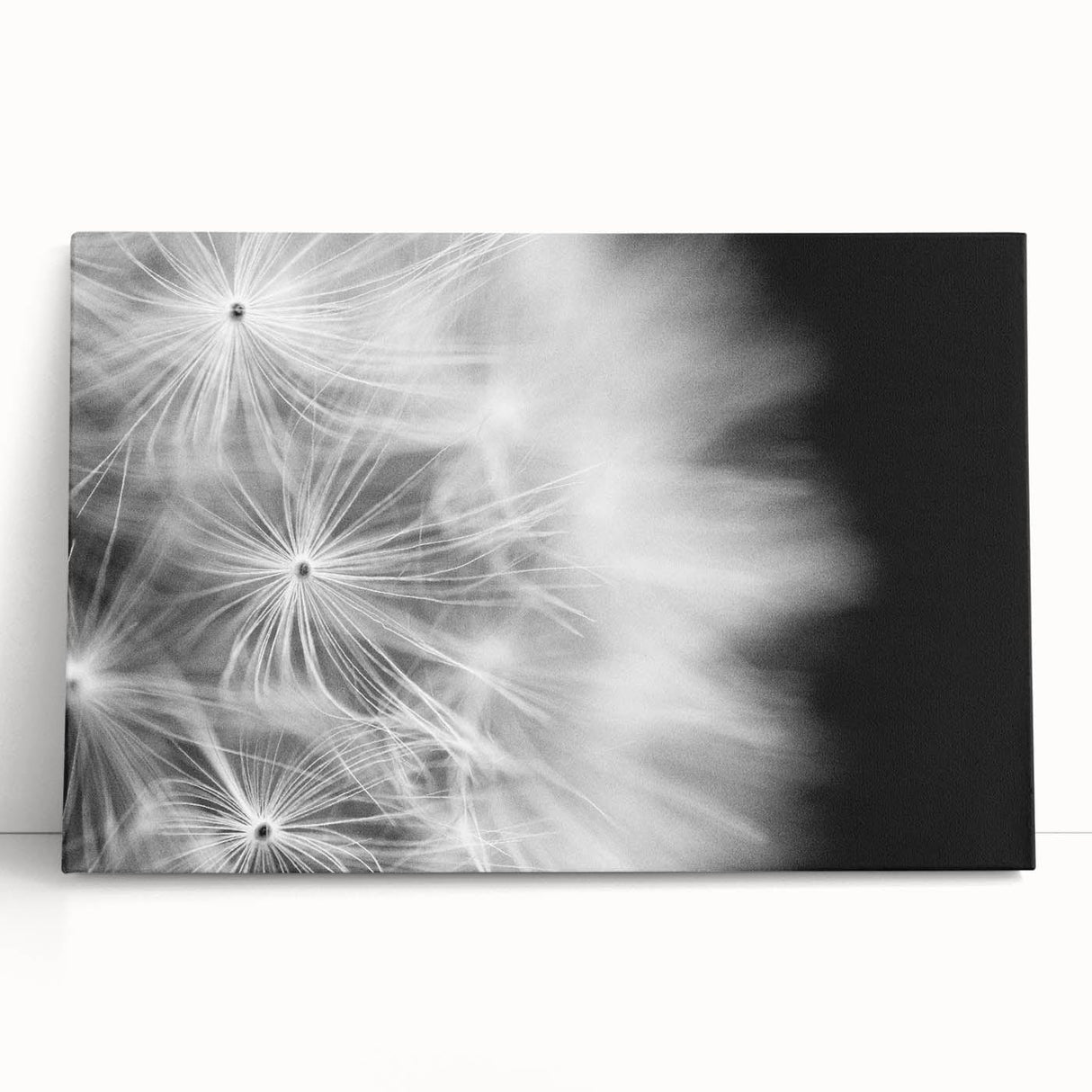 Dandelion Macro Art - Fine Art Photography Framed Prints