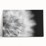 Dandelion Macro Art - Fine Art Photography Framed Prints