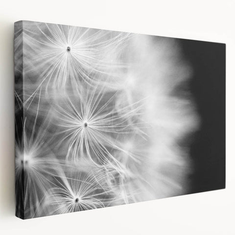 Dandelion Macro Art - Fine Art Photography Framed Prints