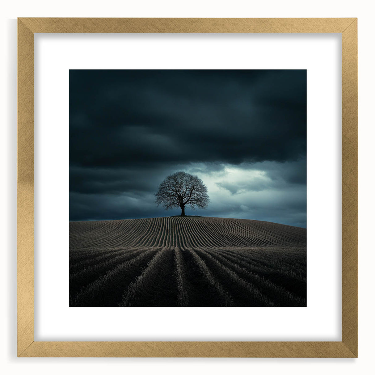 Black and White Minimalist Landscapes – Dramatic Stormy Tree Print