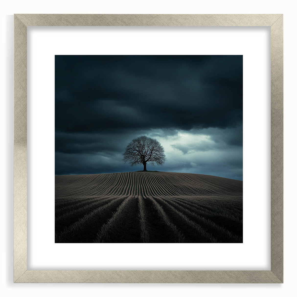Black and White Minimalist Landscapes – Dramatic Stormy Tree Print