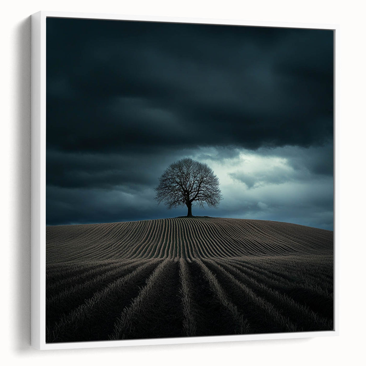 Black and White Minimalist Landscapes – Dramatic Stormy Tree Print