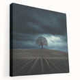 Black and White Minimalist Landscapes – Dramatic Stormy Tree Print