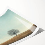 Solitary Tree on Hill - Fine Art Photography Canvas Prints