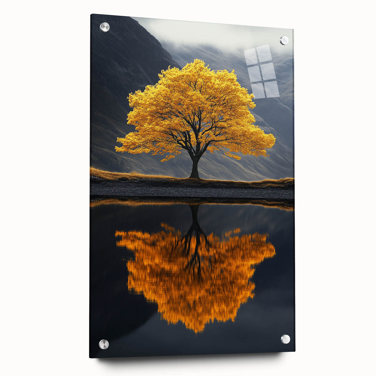 Golden Tree Reflection – Majestic Nature Art Print
